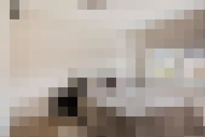 Küllerlaan 26 Soesterberg thumbnail 21