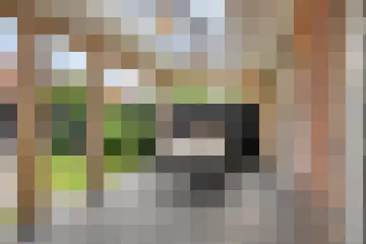 Küllerlaan 26 Soesterberg thumbnail 37