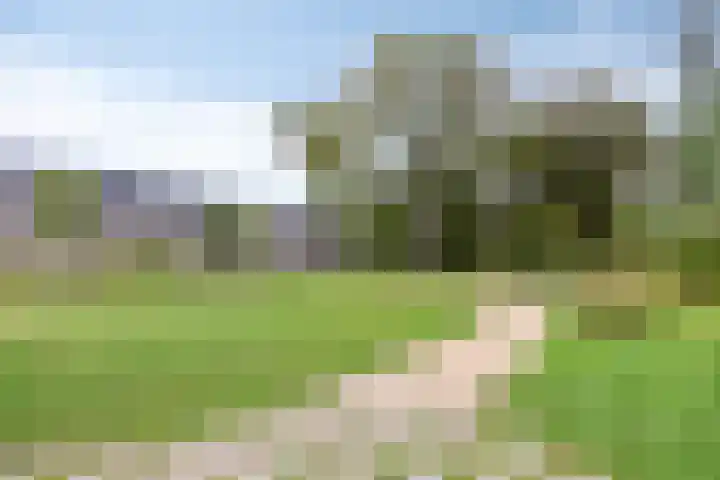Küllerlaan 26 Soesterberg thumbnail 44