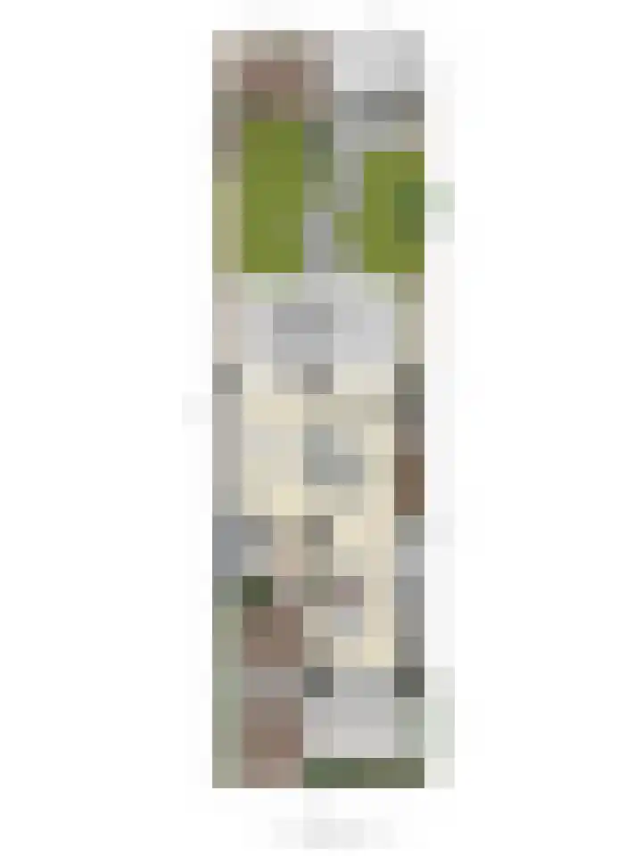 Küllerlaan 26 Soesterberg thumbnail 55