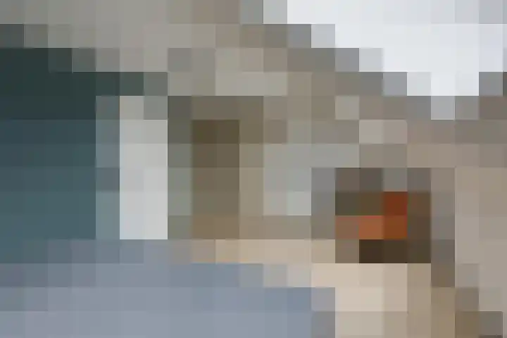 Kulturweide 11 Babberich thumbnail 48