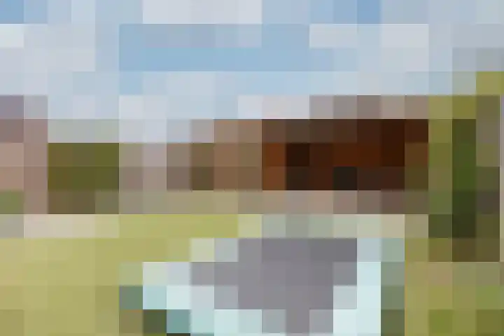 Kulturweide 11 Babberich thumbnail 57