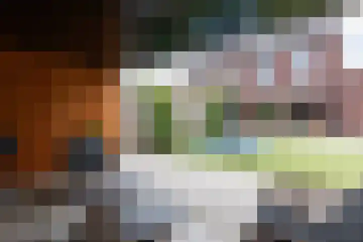 Kulturweide 11 Babberich thumbnail 61