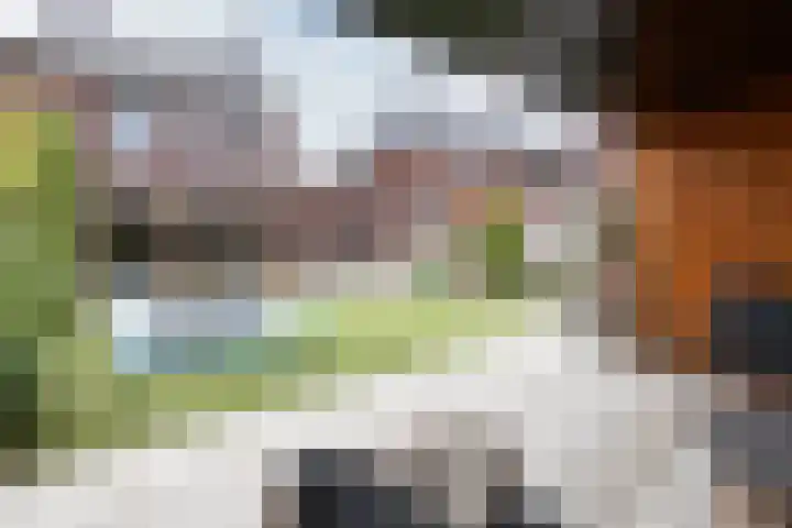 Kulturweide 11 Babberich thumbnail 62