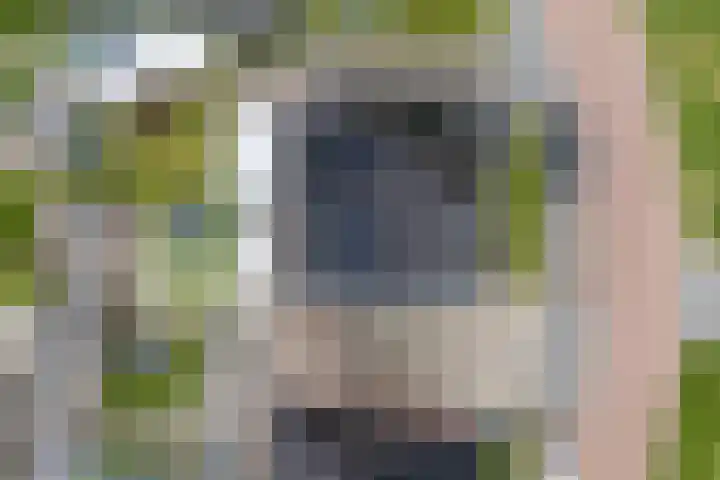 Kulturweide 11 Babberich thumbnail 64