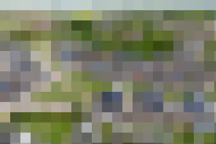 Kulturweide 11 Babberich thumbnail 65