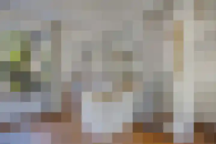 Kûperij 79 Gorredijk thumbnail 14