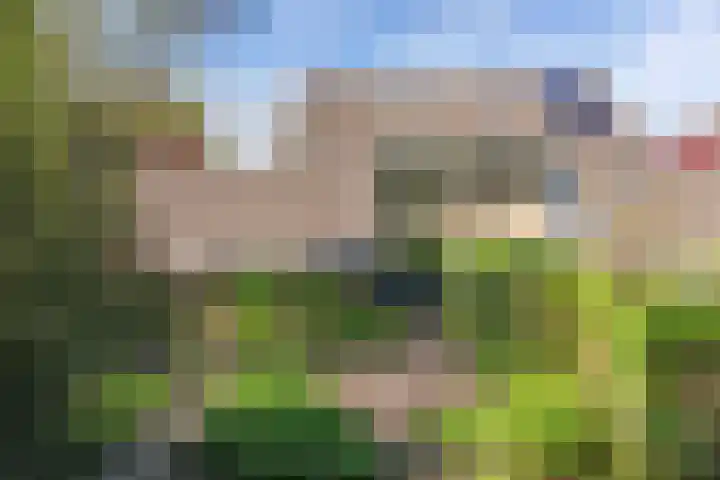 Kûperij 79 Gorredijk foto 3