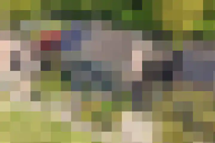 Kûperij 79 Gorredijk thumbnail 31