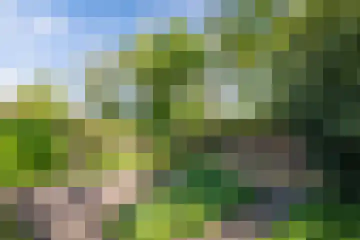 Kûperij 79 Gorredijk thumbnail 35
