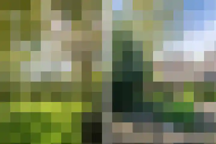 Kûperij 79 Gorredijk thumbnail 6