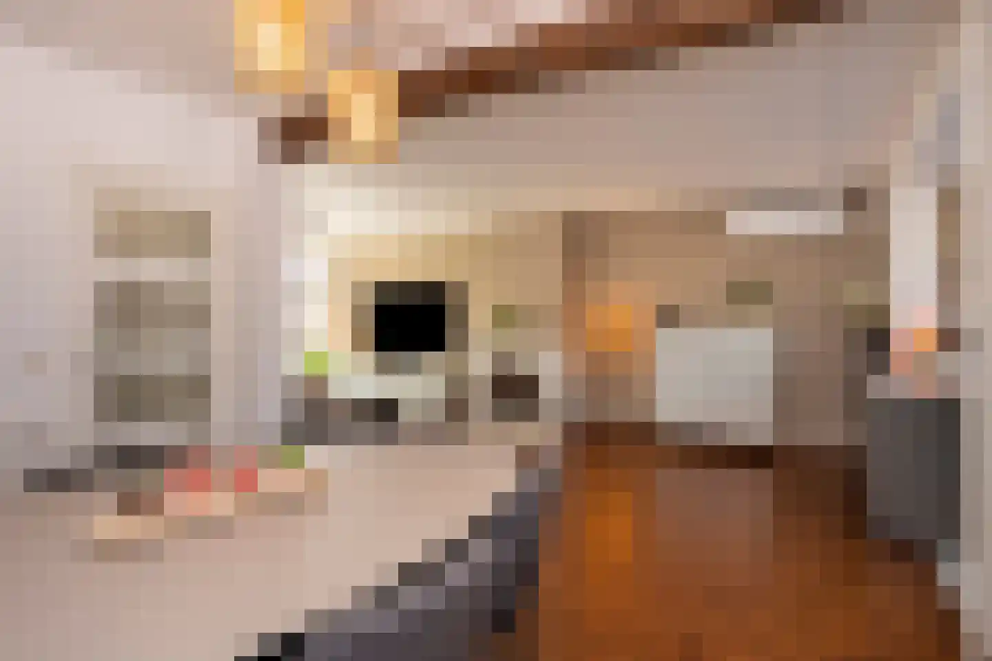 Kuppelkovenderstraat 26 Grevenbicht thumbnail 25