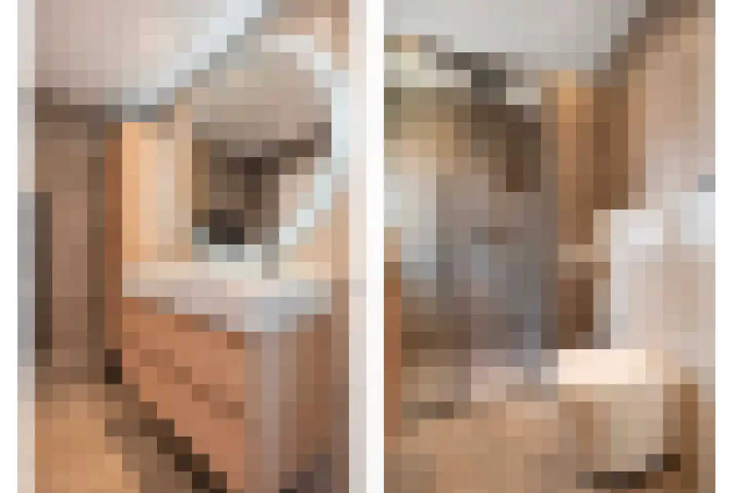 Kuppelkovenderstraat 26 Grevenbicht thumbnail 36