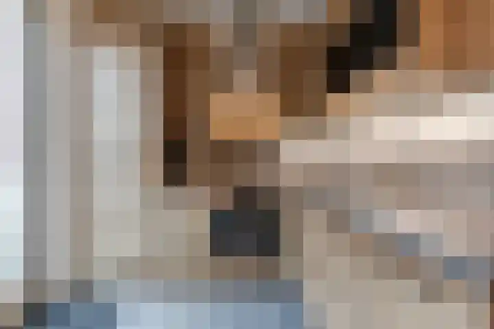 Kuukven 12 Baarlo thumbnail 14