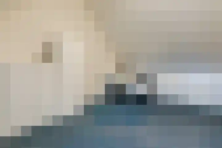 Kuukven 12 Baarlo thumbnail 25