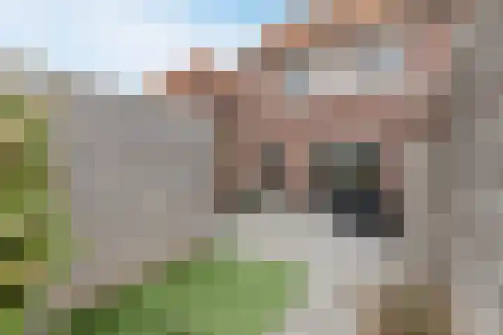 Kuukven 12 Baarlo thumbnail 31