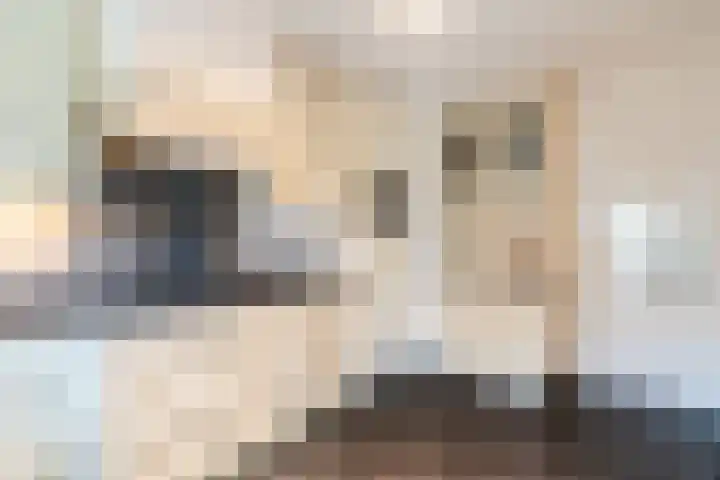 Kuulekamp 14 Harderwijk thumbnail 17