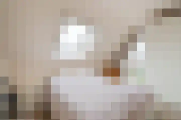 Kuulekamp 14 Harderwijk thumbnail 27