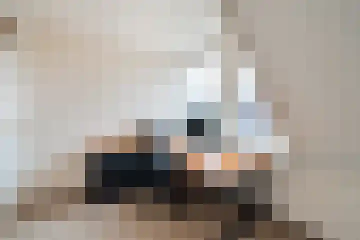 Kuulekamp 14 Harderwijk thumbnail 33