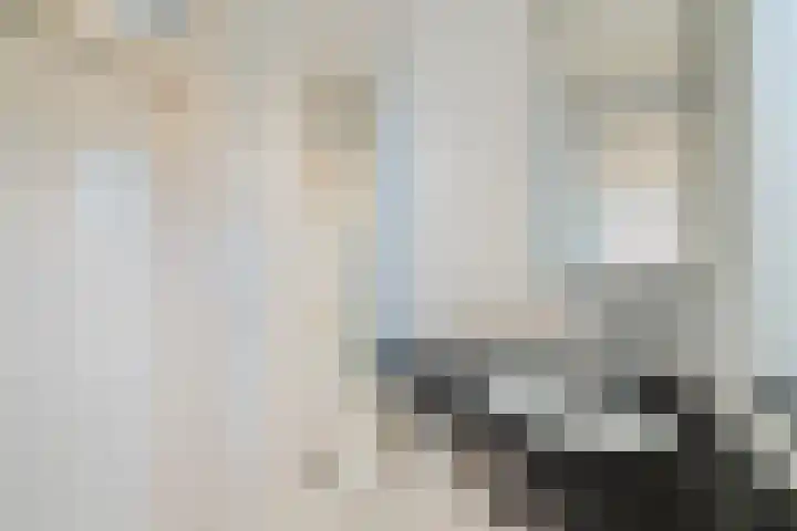Kuulekamp 14 Harderwijk thumbnail 35