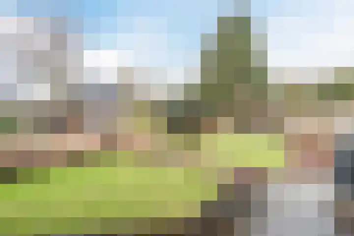 Kuulekamp 14 Harderwijk thumbnail 51