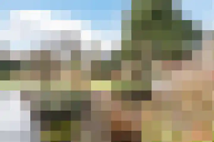 Kuulekamp 14 Harderwijk thumbnail 60