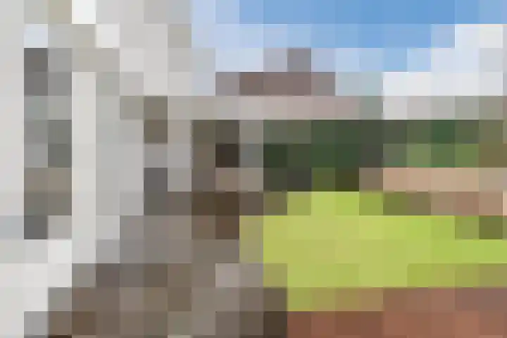 Kuulekamp 14 Harderwijk thumbnail 61