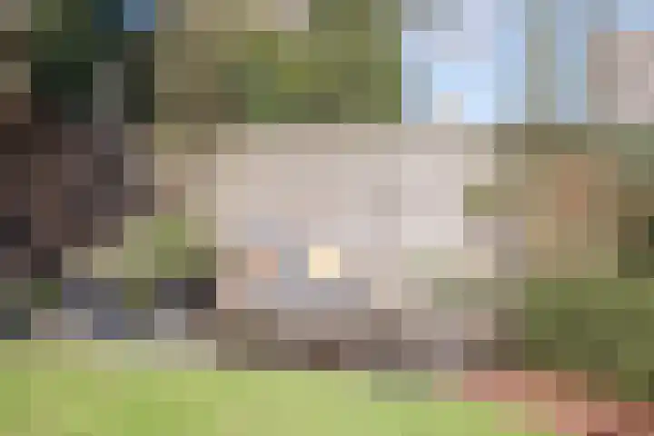 Kuulekamp 14 Harderwijk thumbnail 63
