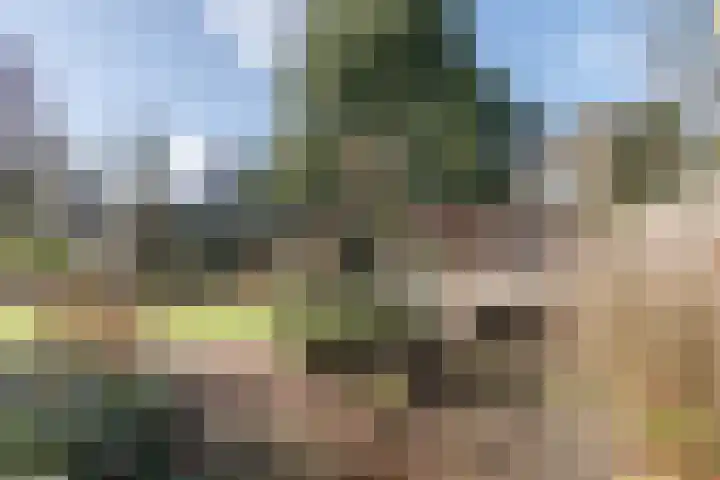 Kuulekamp 14 Harderwijk thumbnail 65