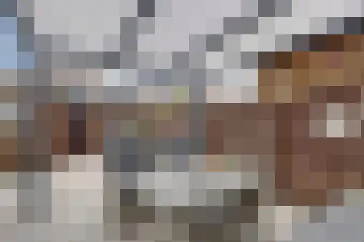 Kuyperstraat 27 Naaldwijk thumbnail 21