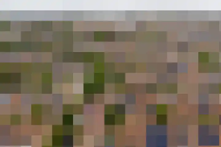Kuyperstraat 27 Naaldwijk thumbnail 27