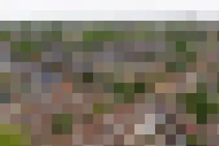 Kuyperstraat 27 Naaldwijk thumbnail 29
