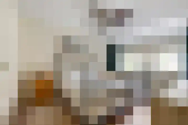 Kuyperstraat 27 Naaldwijk thumbnail 9