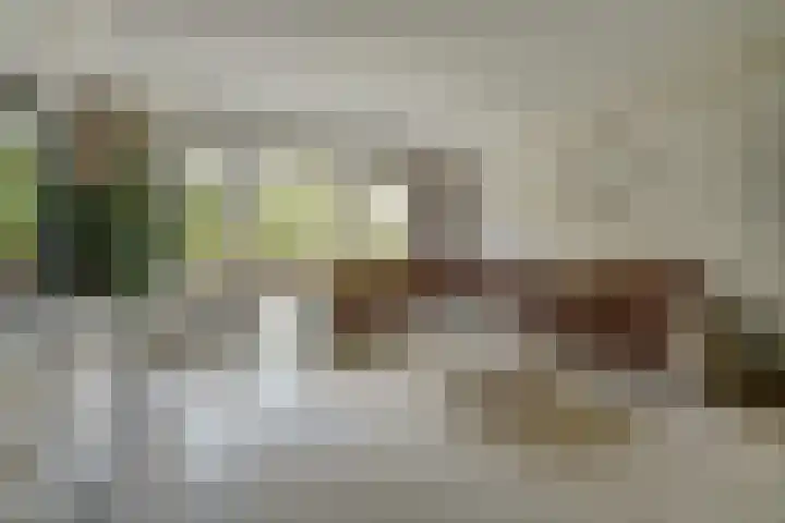 Kuyperstraat 37 Katwijk thumbnail 45