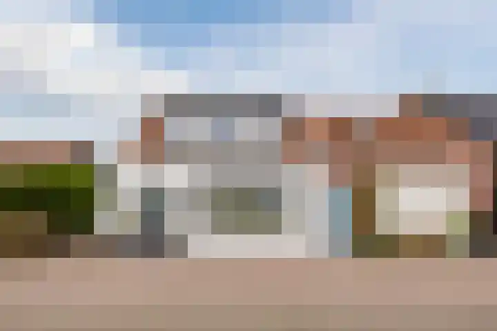 Kwakkel 21 in Zaamslag