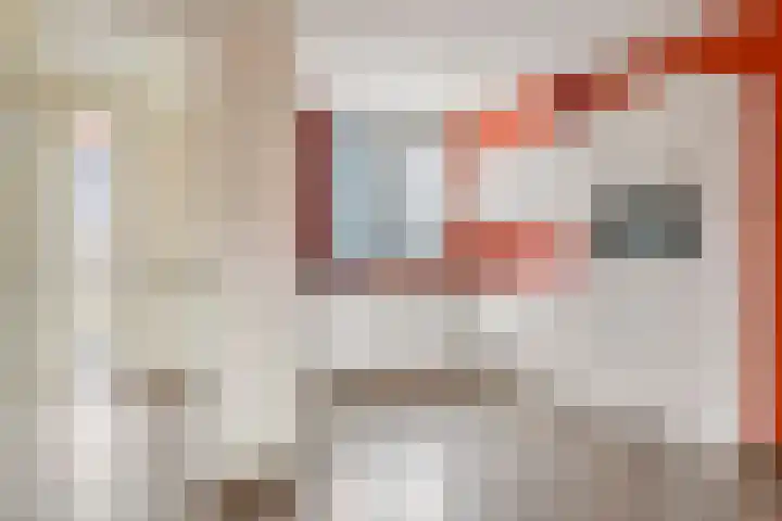 Kwartel 25 Maurik thumbnail 12