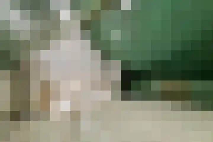 Kwartel 25 Maurik thumbnail 29