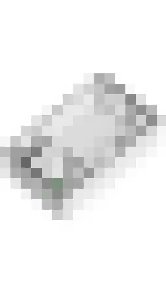 Kwartel 25 Maurik thumbnail 35