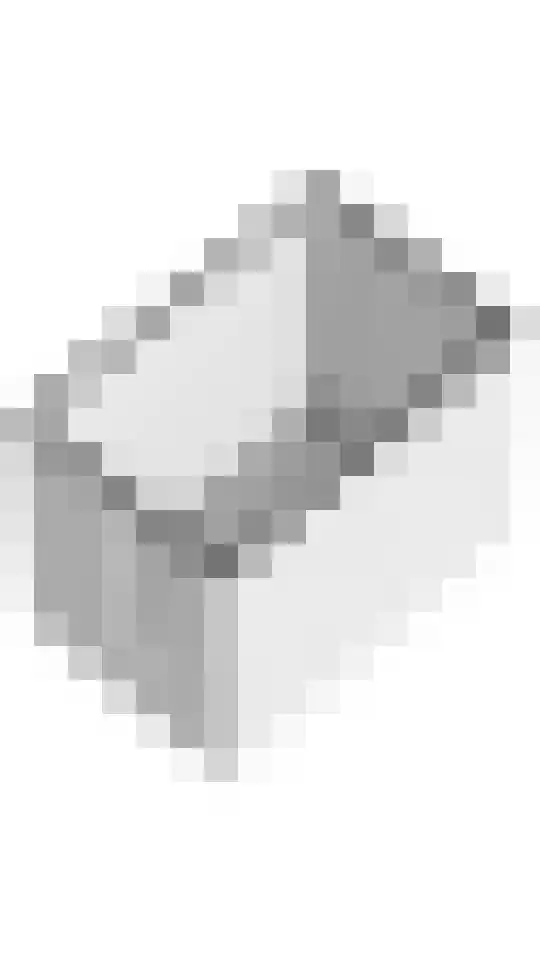 Kwartel 25 Maurik thumbnail 41