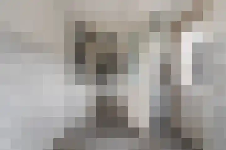 Kwartel 8 Dokkum thumbnail 20