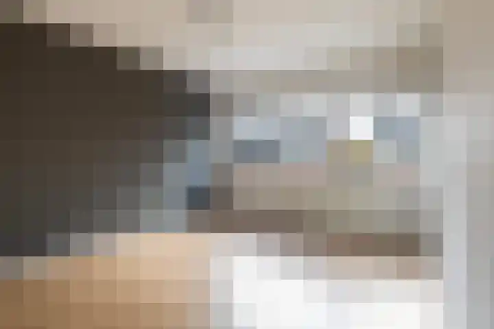 Kwartel 8 Dokkum thumbnail 27
