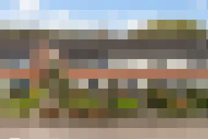 Kwartel 8 Dokkum thumbnail 41