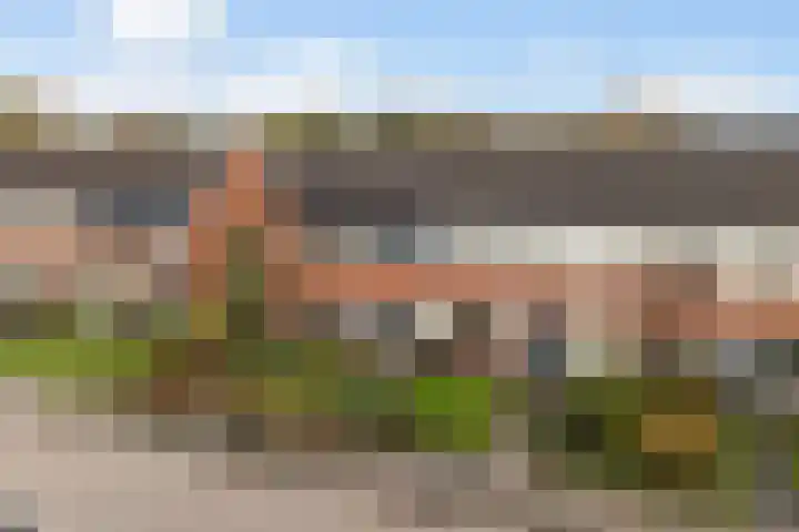 Kwartel 8 Dokkum thumbnail 42