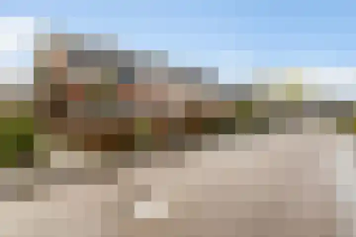 Kwartel 8 Dokkum thumbnail 5