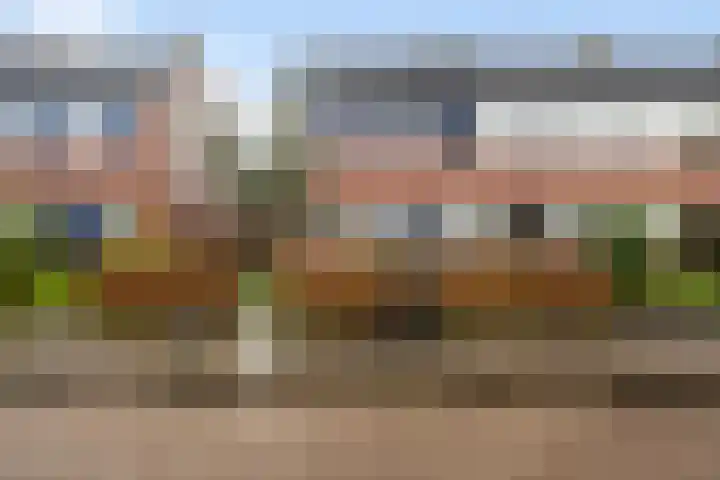 Kwartel 8 Dokkum thumbnail 7