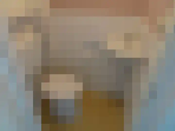Kwartelhof 3 Schagen thumbnail 10