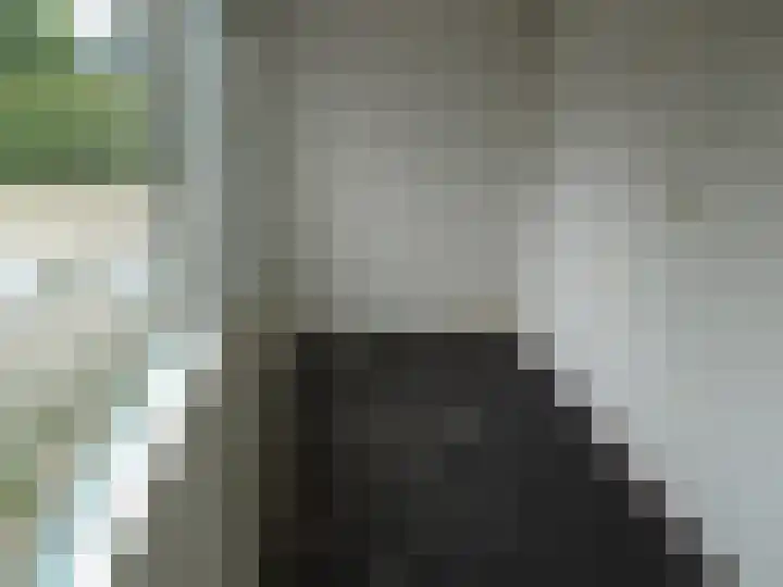 Kwartelhof 3 Schagen thumbnail 11