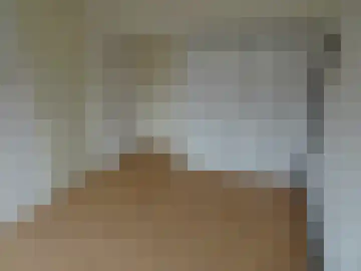 Kwartelhof 3 Schagen thumbnail 13