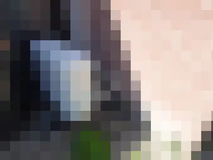 Kwartelhof 3 Schagen thumbnail 21