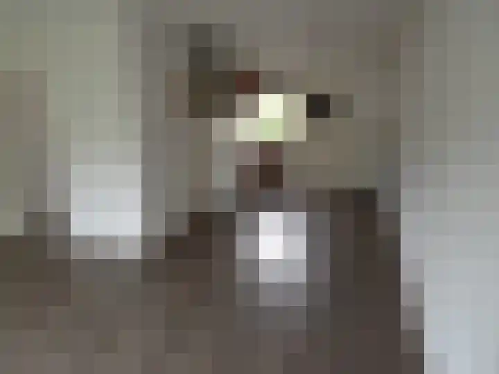 Kwartelhof 3 Schagen thumbnail 7